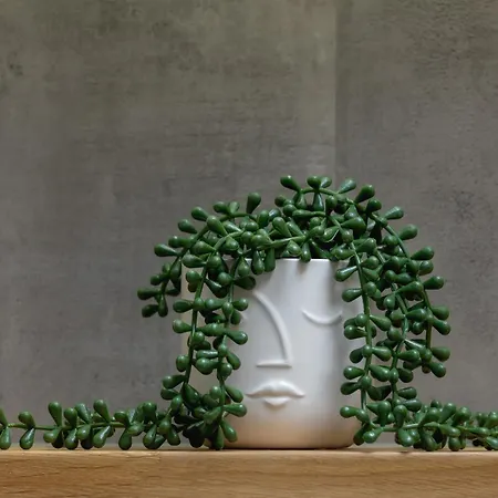 Blisko Parku Slaskiego W Katowicach Z Parkingiem By Renters * Katowice