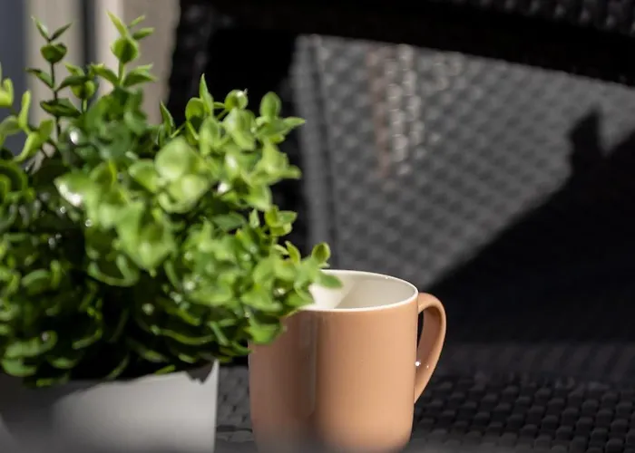 Appartement Blisko Parku Slaskiego W Katowicach Z Parkingiem By Renters Katowice