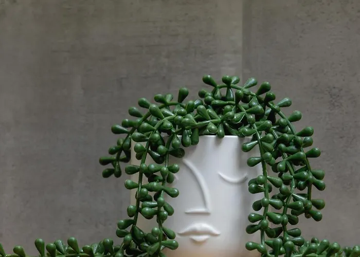 Blisko Parku Slaskiego W Katowicach Z Parkingiem By Renters * Katowice